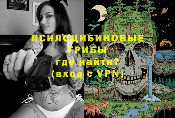 альфа пвп Горнозаводск