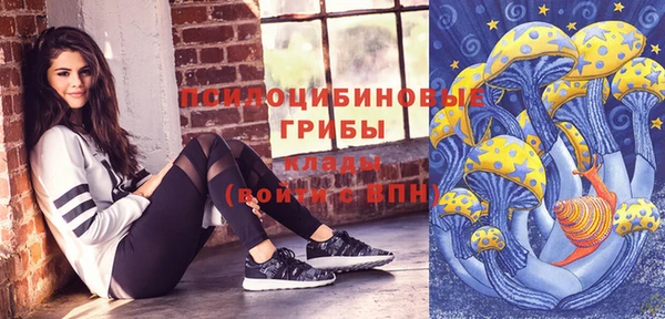 альфа пвп Горнозаводск