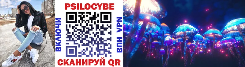 Купить где  Серпухов  Псилоцибиновые грибы Cubensis 